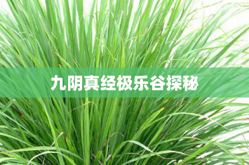 九阴真经极乐谷探秘图片