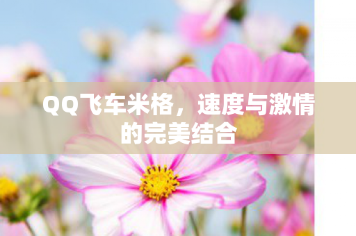 速度与激情的完美结合图片