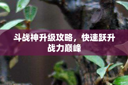 快速跃升战力巅峰图片