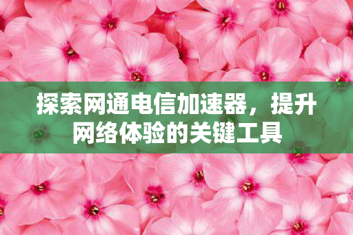 提升网络体验的关键工具图片
