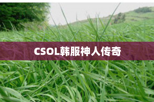 CSOL韩服神人传奇图片