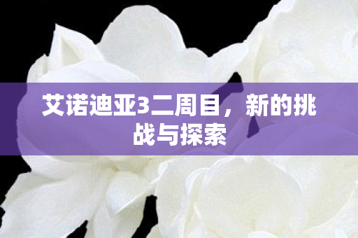 艾诺迪亚3二周目图片