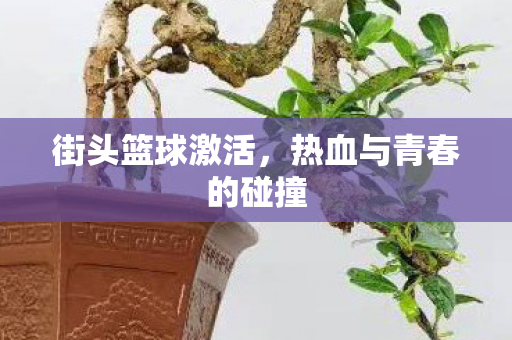 热血与青春的碰撞图片