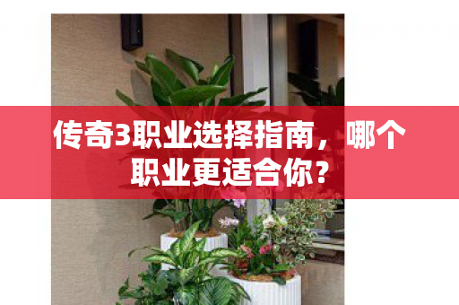 传奇3职业选择指南图片