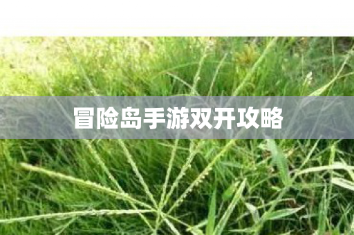 冒险岛手游双开攻略图片