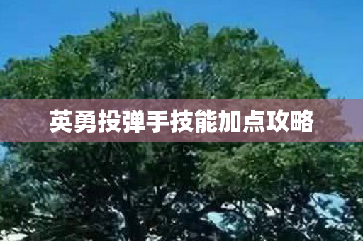 英勇投弹手技能加点攻略图片