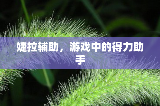 游戏中的得力助手图片