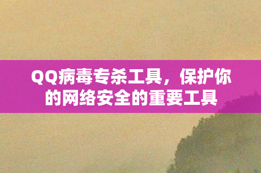 保护你的网络安全的重要工具图片