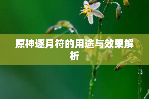 原神逐月符的用途与效果解析图片