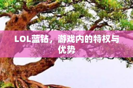 游戏内的特权与优势图片