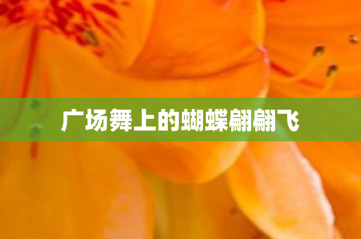 广场舞上的蝴蝶翩翩飞图片