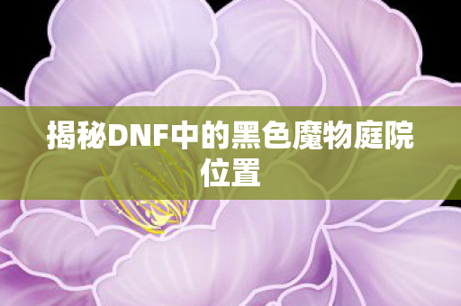 揭秘DNF中的黑色魔物庭院位置图片
