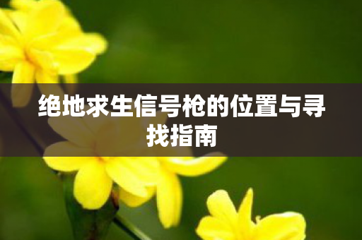 绝地求生信号枪的位置与寻找指南图片