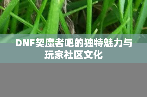 DNF契魔者吧的独特魅力与玩家社区文化图片