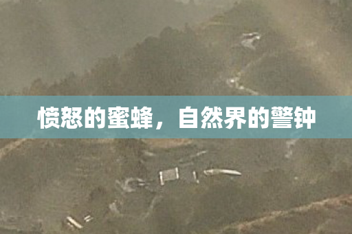自然界的警钟图片