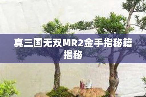 真三国无双MR2金手指秘籍揭秘图片