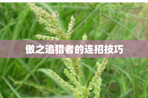 傲之追猎者的连招技巧图片