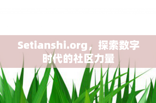 探索数字时代的社区力量图片