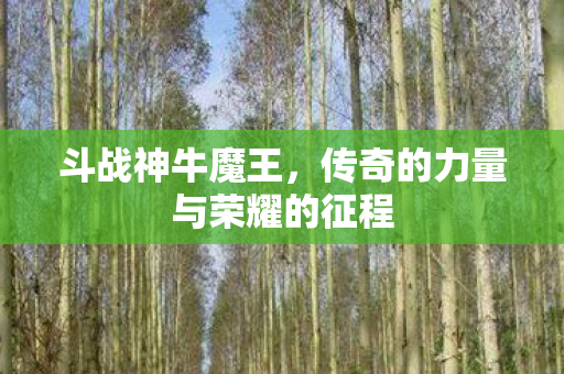 传奇的力量与荣耀的征程图片