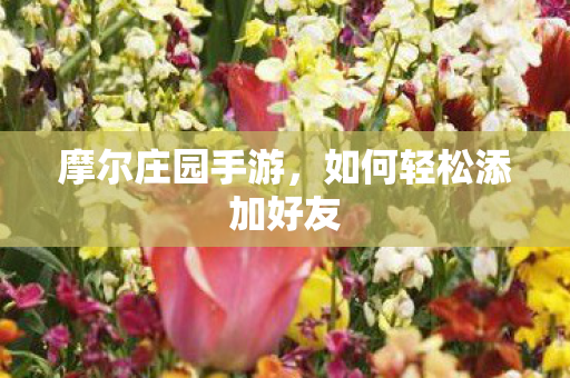 如何轻松添加好友图片