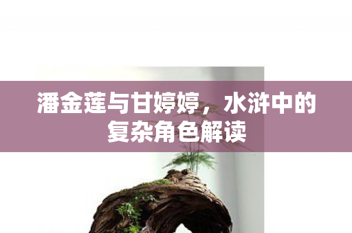 水浒中的复杂角色解读图片