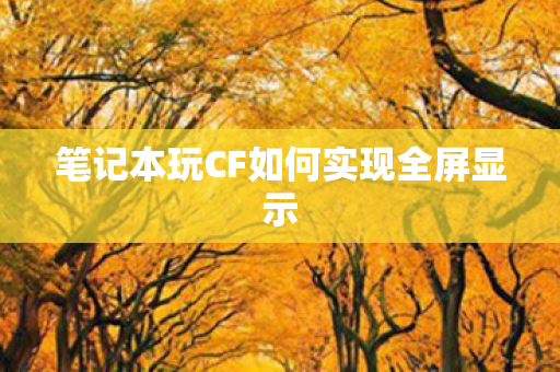 笔记本玩CF如何实现全屏显示图片