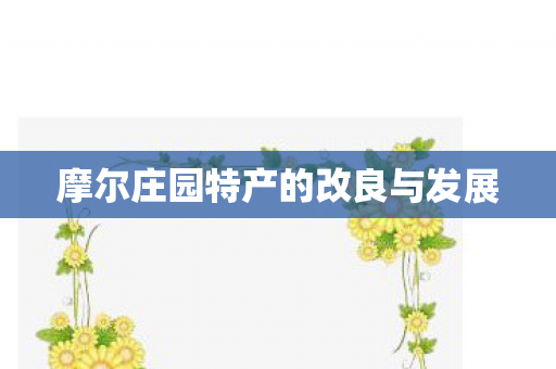 摩尔庄园特产的改良与发展图片