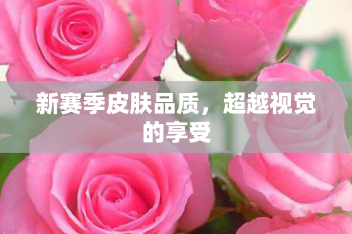 新赛季皮肤品质图片