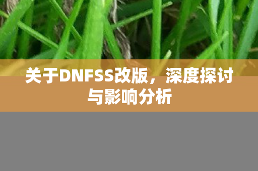 关于DNFSS改版图片