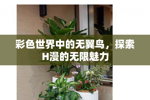 彩色世界中的无翼鸟图片
