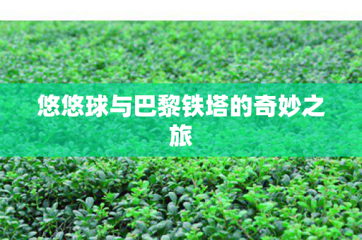 悠悠球与巴黎铁塔的奇妙之旅图片