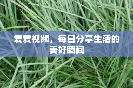 每日分享生活的美好瞬间图片