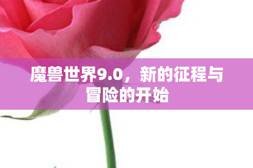 新的征程与冒险的开始图片