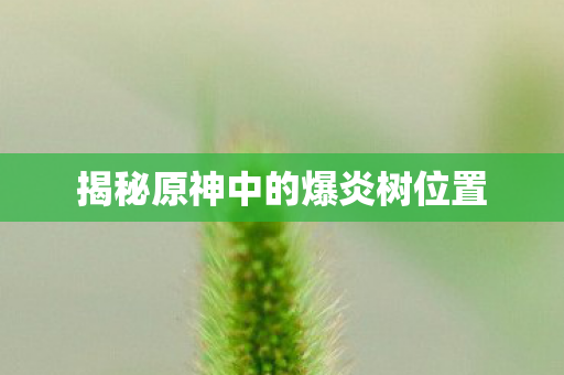 揭秘原神中的爆炎树位置图片