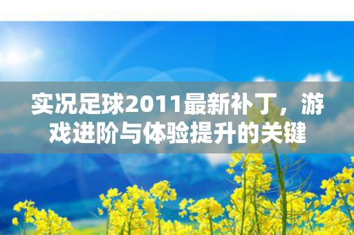 实况足球2011最新补丁图片