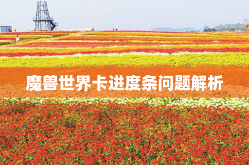 魔兽世界卡进度条问题解析图片