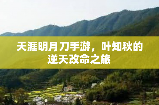 叶知秋的逆天改命之旅图片