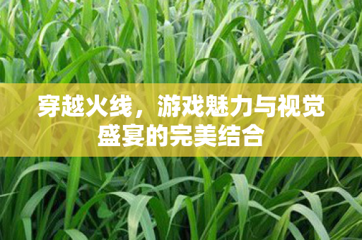 游戏魅力与视觉盛宴的完美结合图片