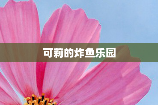 可莉的炸鱼乐园图片