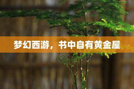 书中自有黄金屋图片