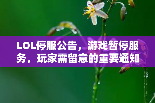 玩家需留意的重要通知图片