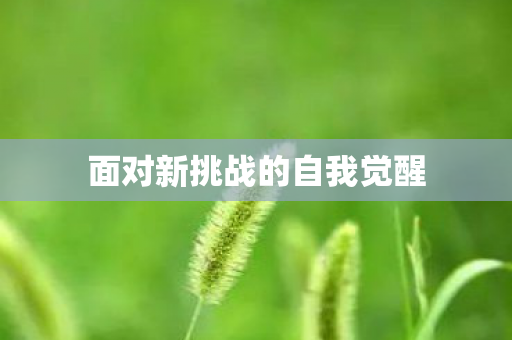 面对新挑战的自我觉醒图片