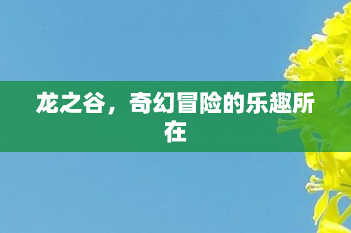 奇幻冒险的乐趣所在图片