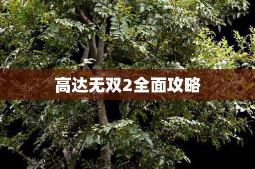 高达无双2全面攻略图片