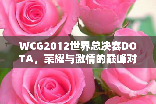 WCG2012世界总决赛DOTA图片