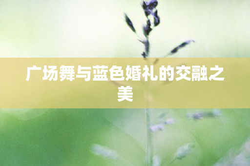 广场舞与蓝色婚礼的交融之美图片