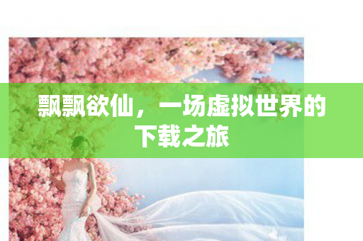 一场虚拟世界的下载之旅图片
