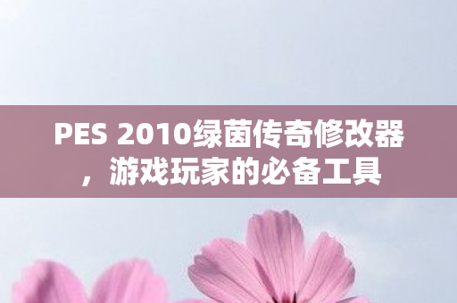 PES 2010绿茵传奇修改器图片