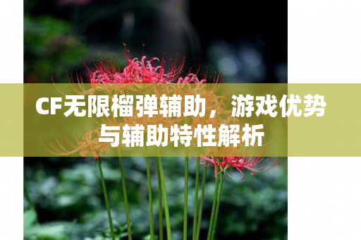 游戏优势与辅助特性解析图片