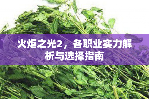 各职业实力解析与选择指南图片